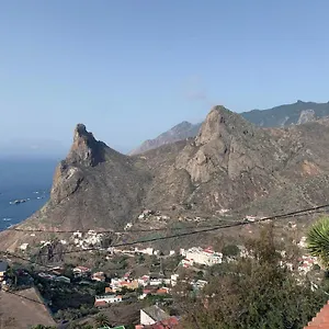 Canaria Hombre De Palo , Santa Cruz de Tenerife España